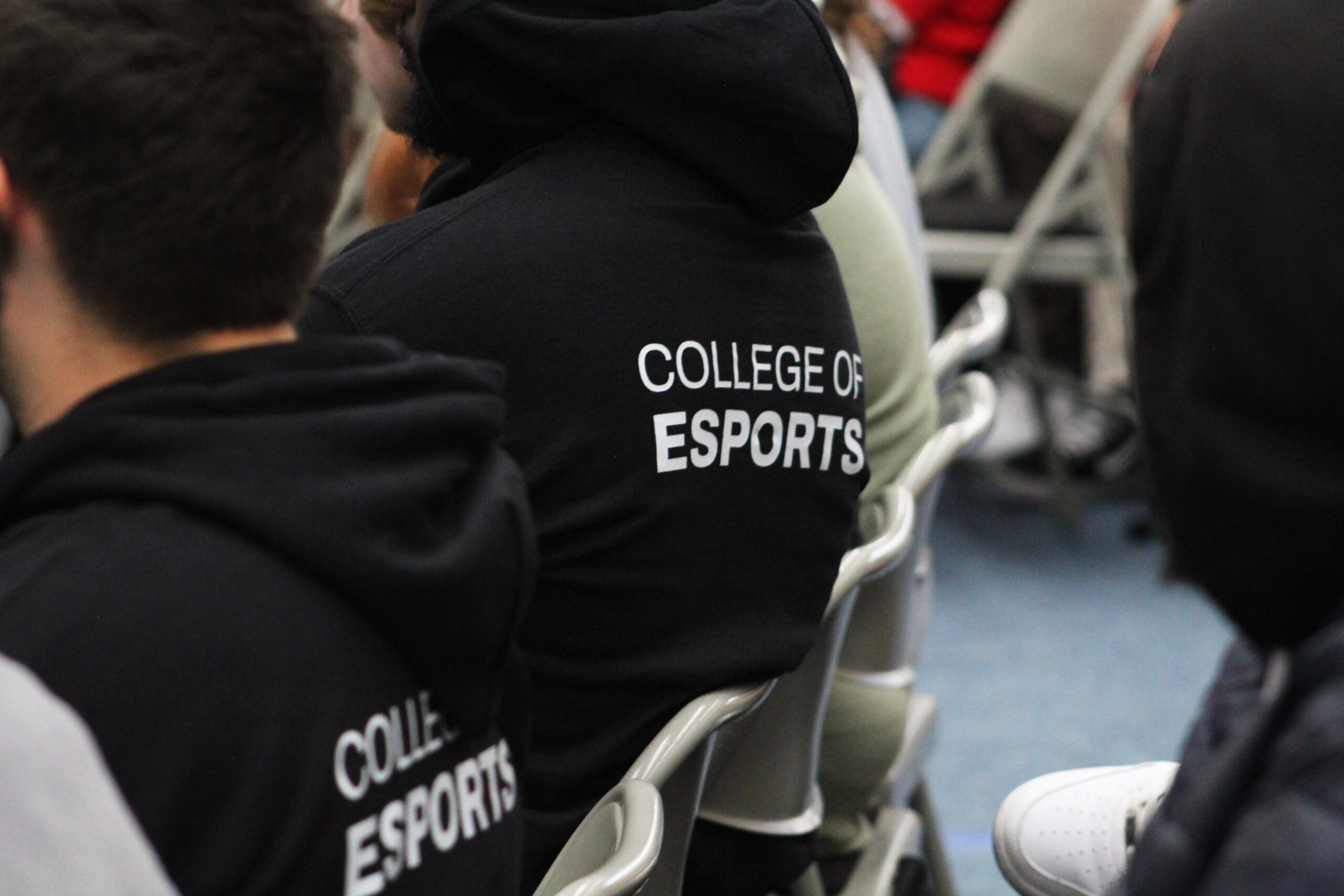 College of Esports Image of Back of Branded Hoodie
