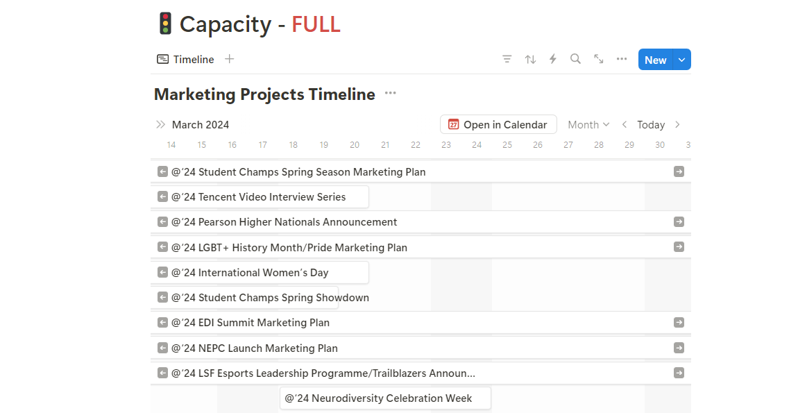 Notion Project Planning Tool for Marketing Plans and Campaigns at British Esports