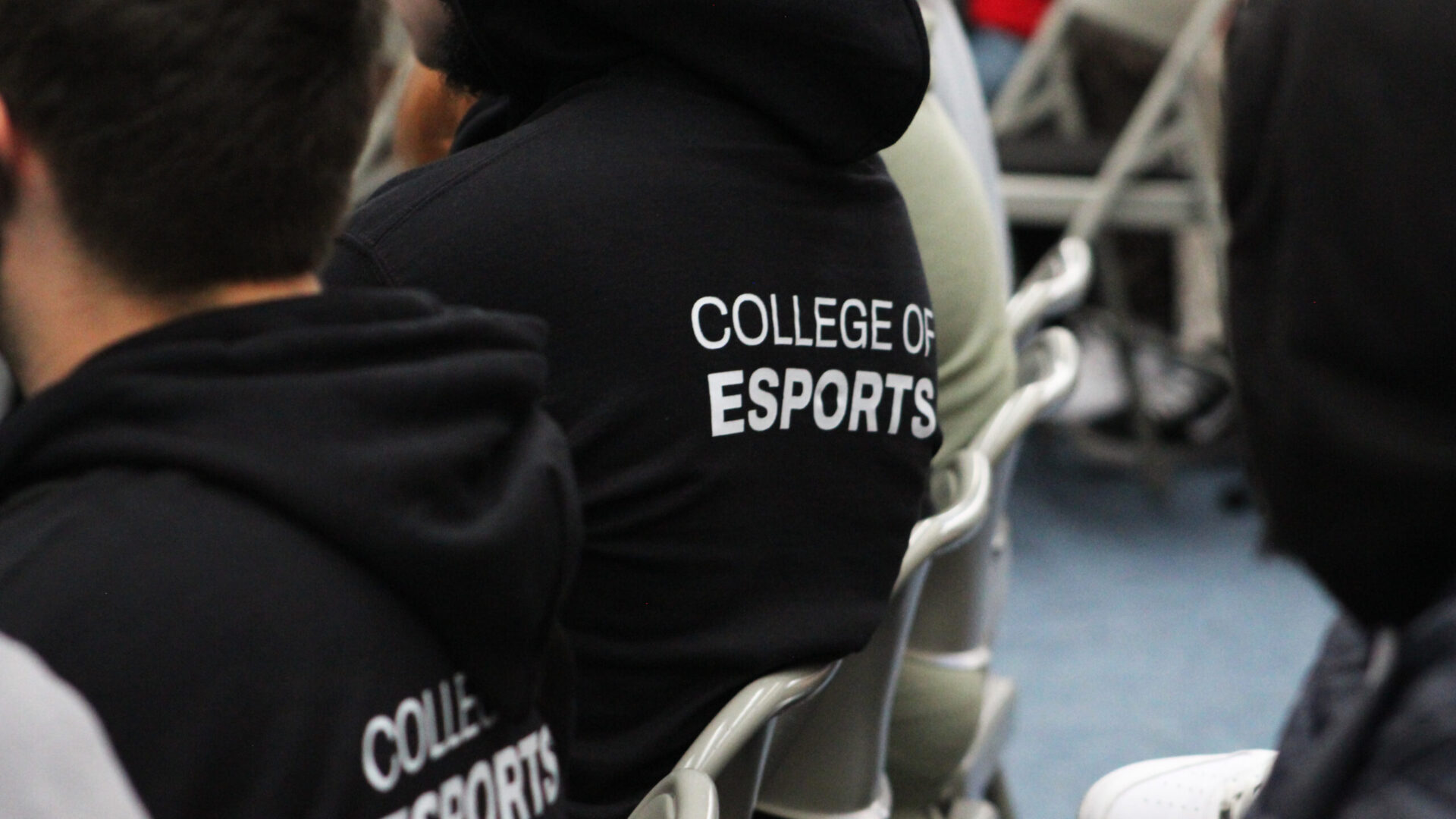 College of Esports Image of Back of Branded Hoodie